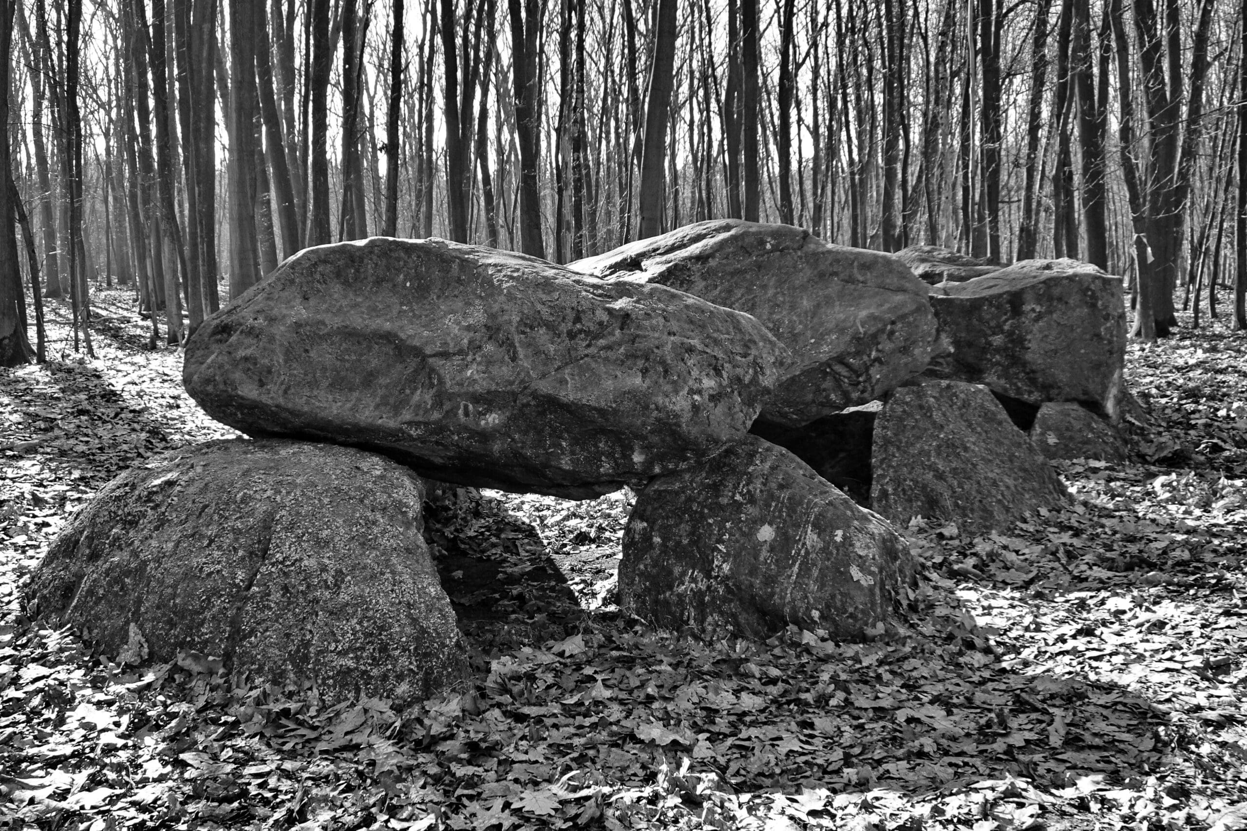 Hunebedden Drenthe